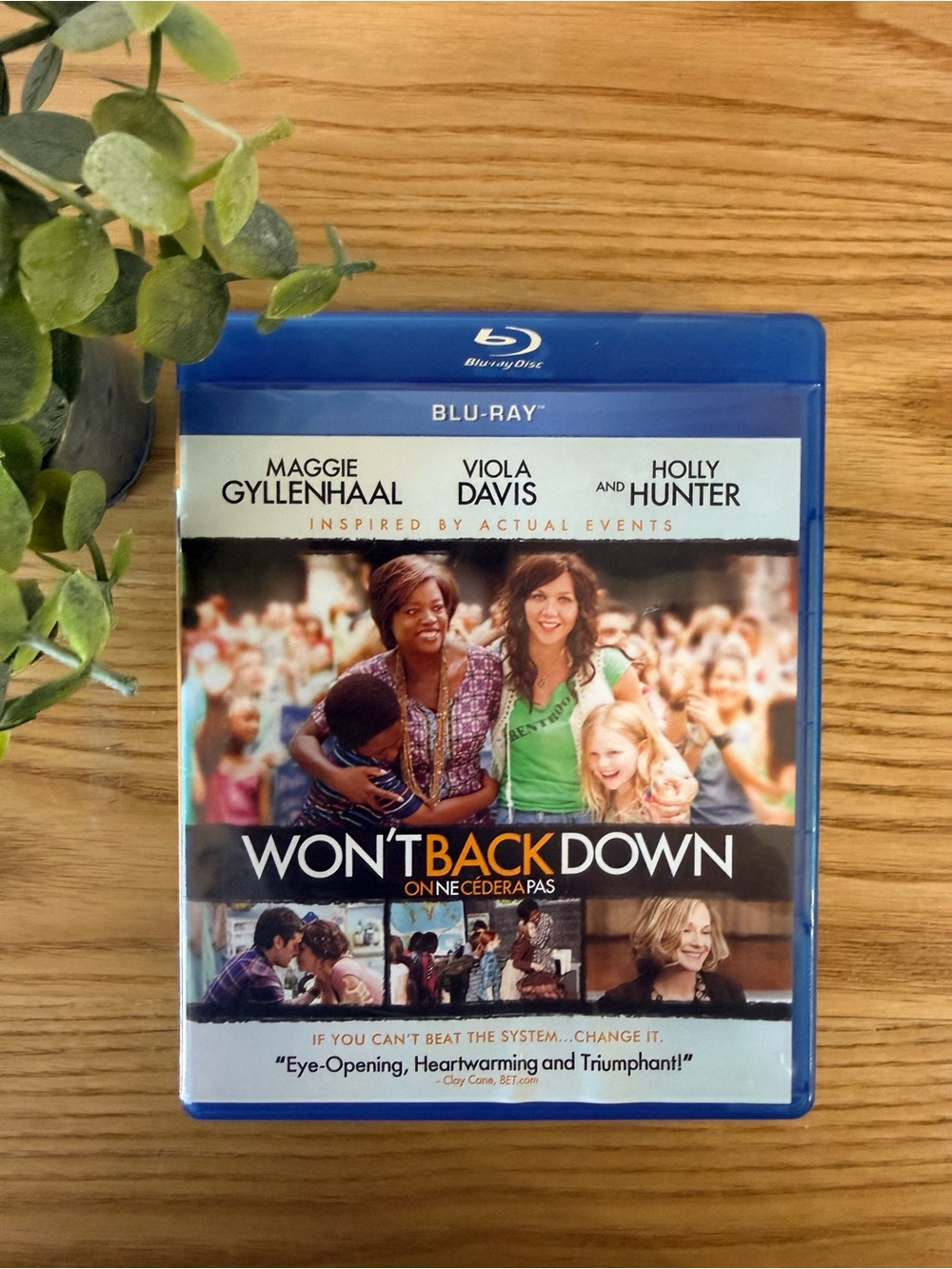 🌿10/$25 • Won’t Back Down Blu Ray